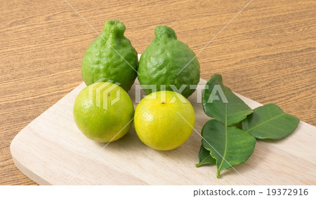 Green Kaffir Lime with Lemon Lime on Wooden Board 19372916