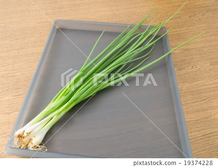Spring Onion or Scallion on A Tray Spring Onion or Scallion on A Tray 19374228