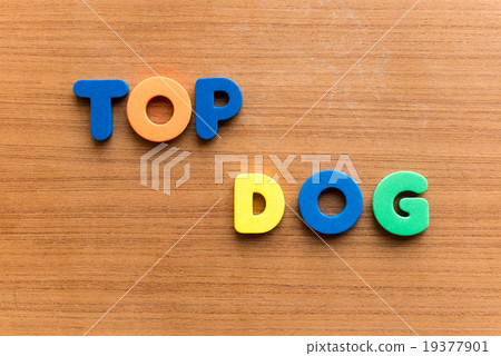 top dog top dog 19377901