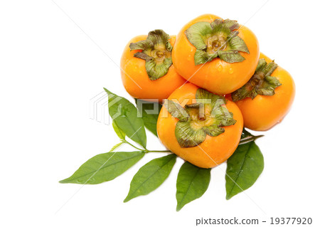 fresh persimmon fruit 19377920