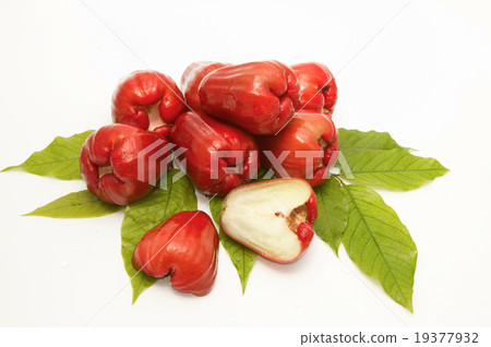 Rose apples Rose apples 19377932