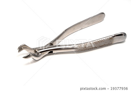Dental extraction forceps Dental extraction forceps 19377936