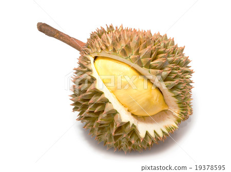 King of fruits, durian King of fruits, durian 19378595