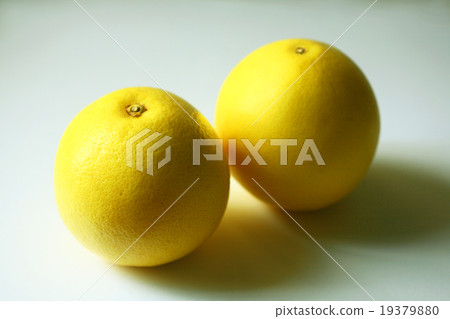 夏季成分葡萄柚 19379880