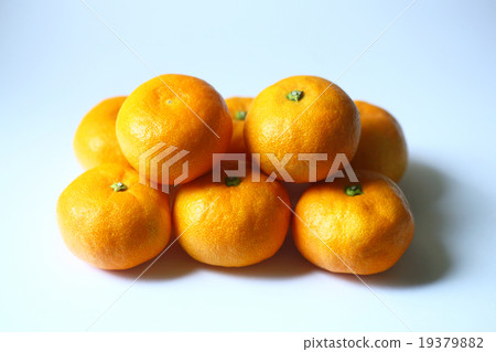 夏季成分溫州橘子 19379882