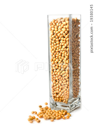 soybean in glass box soybean in glass box 19380145
