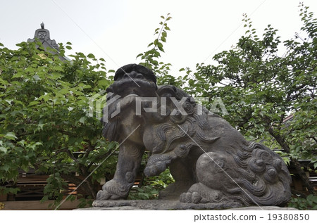 Yushima Tenmangu神社雌獅·Acho Yushima Tenmangu神社雌獅·Acho 19380850