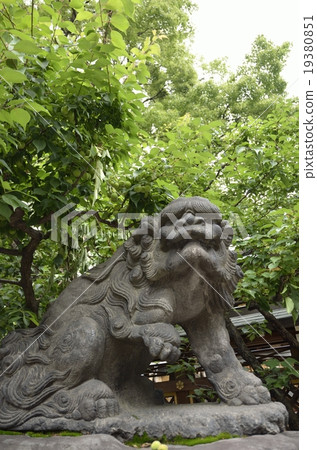熊谷,湯島天滿宮的熊谷 熊谷,湯島天滿宮的熊谷 19380851