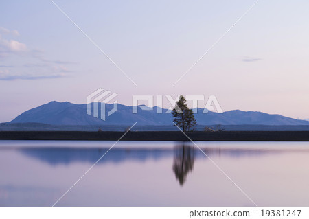 Lodge Paul Pines Pine trees nestling on the lake surface Yellowstone National Park 19381247