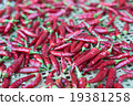 辣椒 19381258