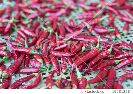 辣椒 辣椒 19381258