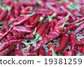 在乾燥下的紅辣椒 19381259