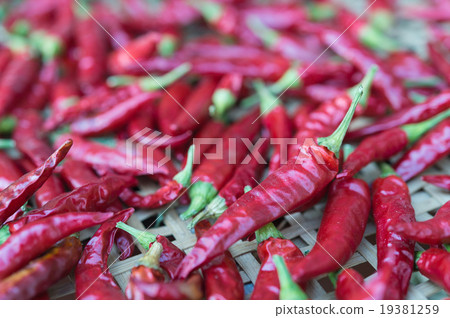 Red chilli under drying 19381259