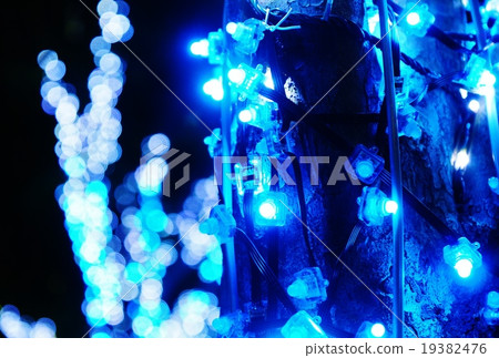聖誕節圖像·街道樹木照明的輕球·模糊的藍色和白色側身位置 19382476