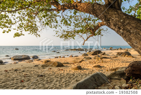 Rock beach with wooden swing 19382508