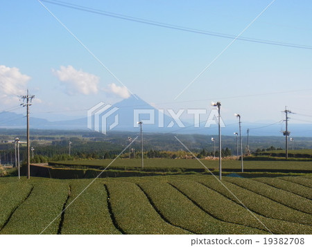 Kami-dake and tea plantations Kami-dake and tea plantations 19382708