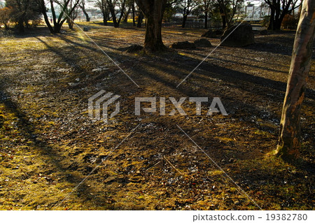 Park (winter morning) 19382780