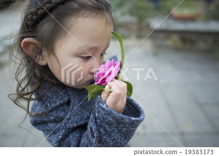 一個女孩嗅著粉紅色花朵的氣味 一個女孩嗅著粉紅色花朵的氣味 19383173