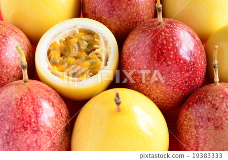 百香果收穫♪ 19383333