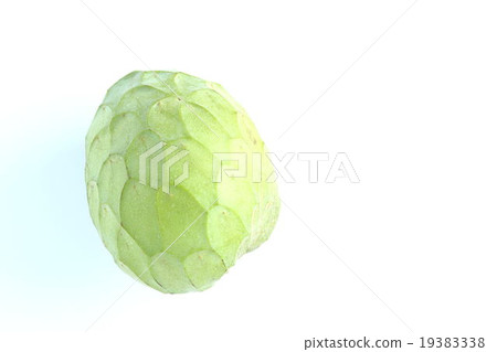 Cherimoya♪ 19383338