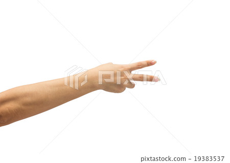 female hand on the isolated on white background female hand on the isolated on white background 19383537