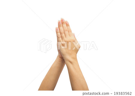 female hand on the isolated on white background 19383562