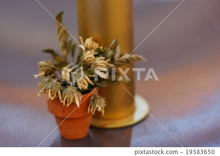 dry flower, selective focus 19383650