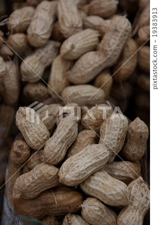 peanut peanut 19383913