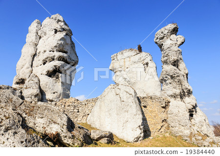 jurassic limestone rocks - Polish Jura, Poland 19384440