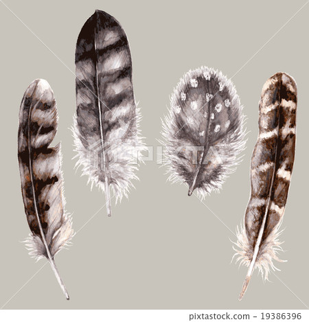 Hand Drawn Watercolor Feathers. Hand Drawn Watercolor Feathers. 19386396