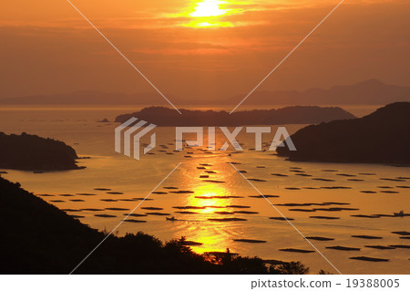 朝日和牡蠣釣魚 朝日和牡蠣釣魚 19388005