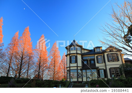 Diplomat's house 19388441