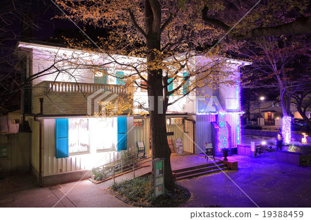 埃利斯曼之家夜景 19388459