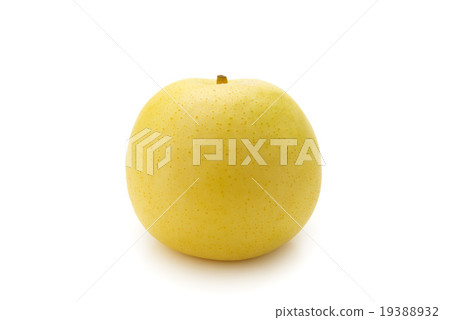 二十世紀的梨 二十世紀的梨 19388932