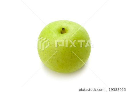 日本水果,20世紀的梨 日本水果,20世紀的梨 19388933