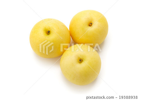 Twentieth Century Pear 19388938