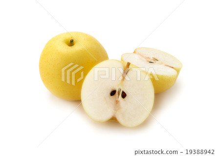 二十世紀的梨 19388942