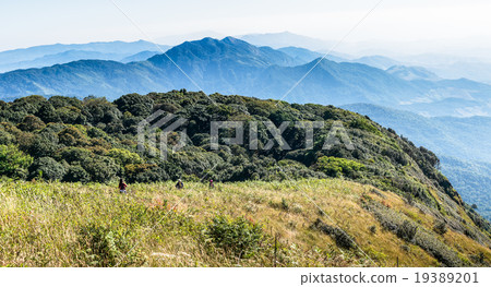 Montane forest at Kew Mae Pan Nature trail 19389201