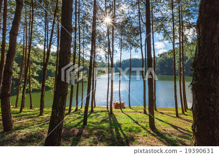 pang oung reservoir in ban rak thai at maehongson pang oung reservoir in ban rak thai at maehongson 19390631