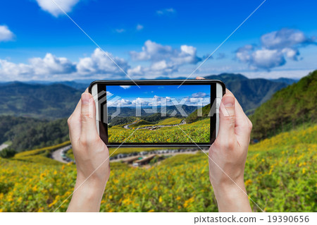 Hand taking photo at Tung Bua Tong 19390656