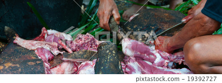 Closeup Hands of Two Person Cutting red pork meat 19392727
