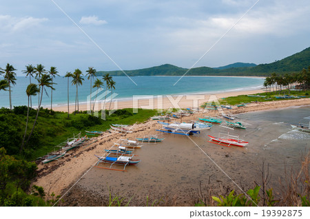 Boats and palm trees at the sand beach in front of Boats and palm trees at the sand beach in front of 19392875