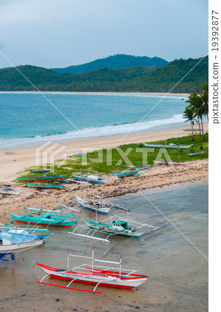 Boats and palm trees at the sand beach in front of Boats and palm trees at the sand beach in front of 19392877