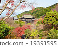 Temple 19393595