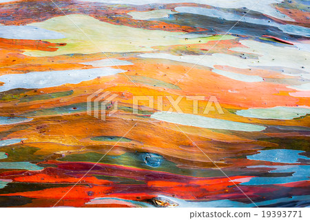 Abstract painting by eucalyptus tree bark 19393771