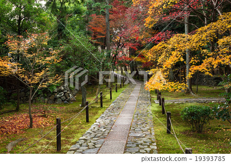Autumn Kaohsiung 19393785