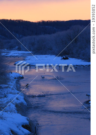 Tsurui村的起重機 19393852