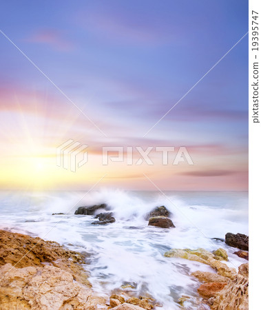 Beach Beach 19395747