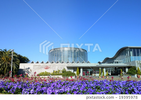 Sanyo Media Flower Museum (December) Chiba-shi, Chiba-shi 19395978