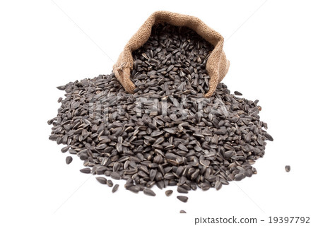 Burlap sack with sunflower seeds spilling out Burlap sack with sunflower seeds spilling out 19397792